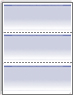 Form #3000 Business Canadian Checks